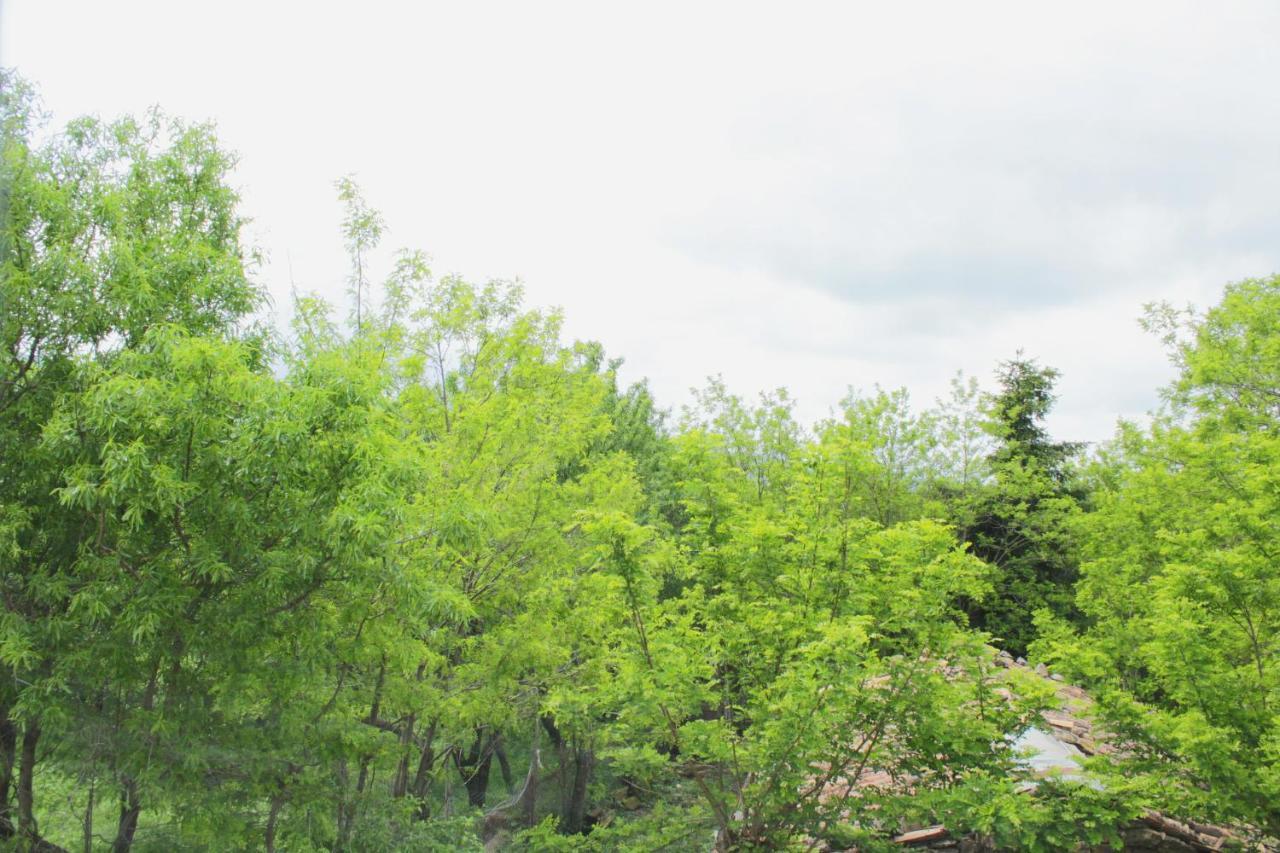 Bed and Breakfast Cielo Stellato Castel Lagopesole Exterior foto